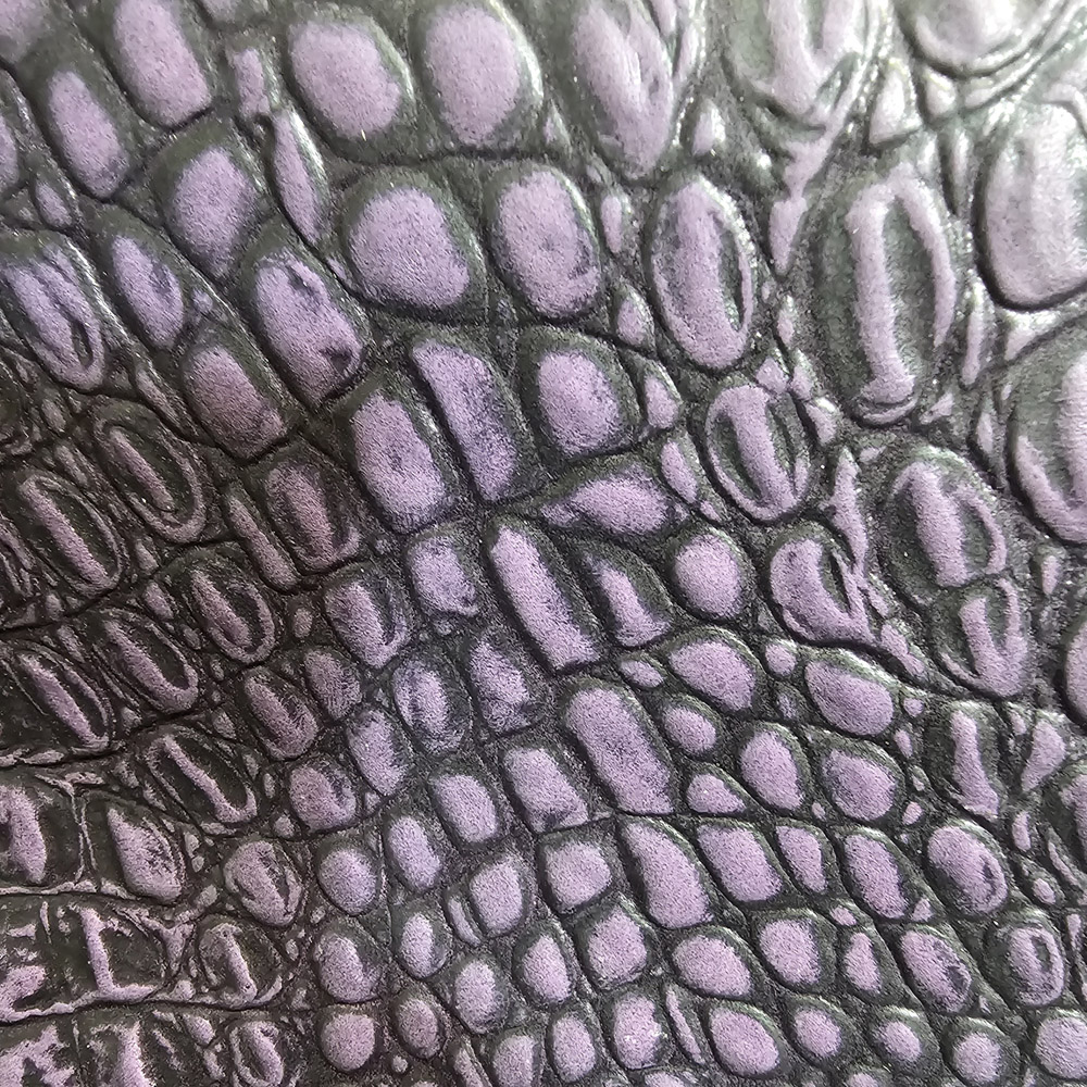 Purple and Black Gator